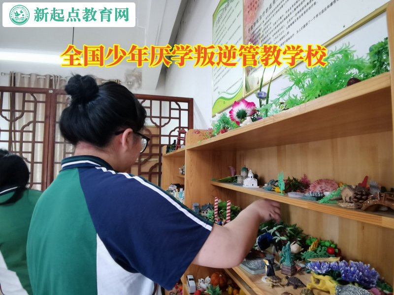 資訊—全國少年厭學叛逆管教學校教育學習態度的孩子 資訊—全國少年厭學叛逆管教學校教育學習態度的孩子