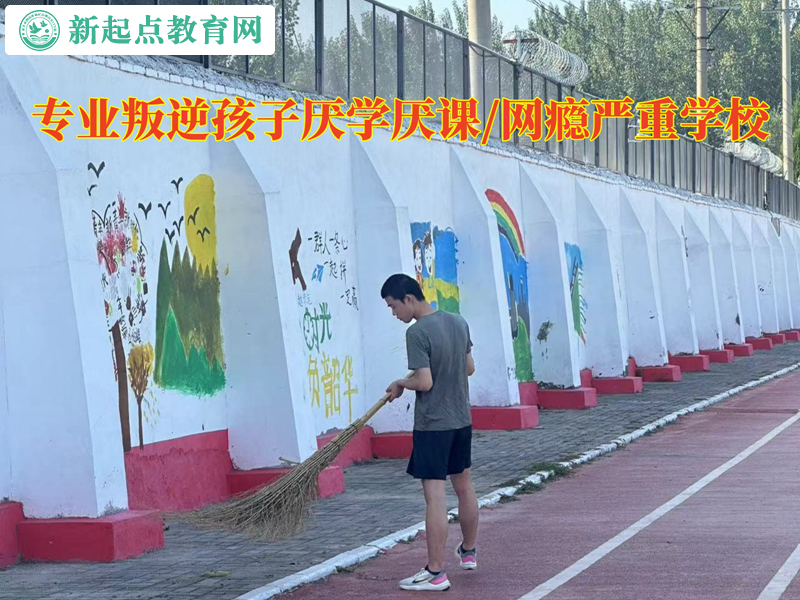 專業叛逆孩子學校轉變孩子不寫作業的態度