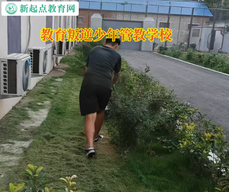 教育叛逆少年管教學(xué)校矯正孩子不寫作業(yè) 教育叛逆少年管教學(xué)校矯正孩子不寫作業(yè)