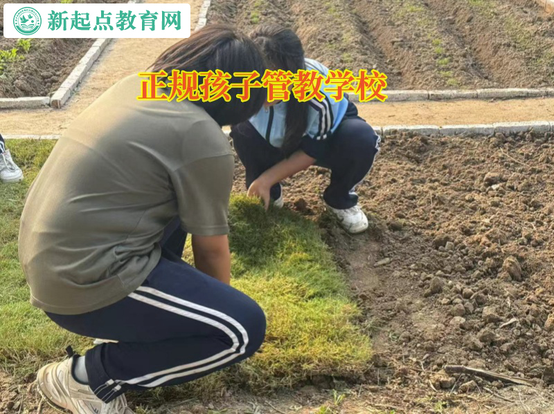 正規(guī)孩子管教學(xué)校培養(yǎng)孩子獨(dú)立能力 正規(guī)孩子管教學(xué)校培養(yǎng)孩子獨(dú)立能力