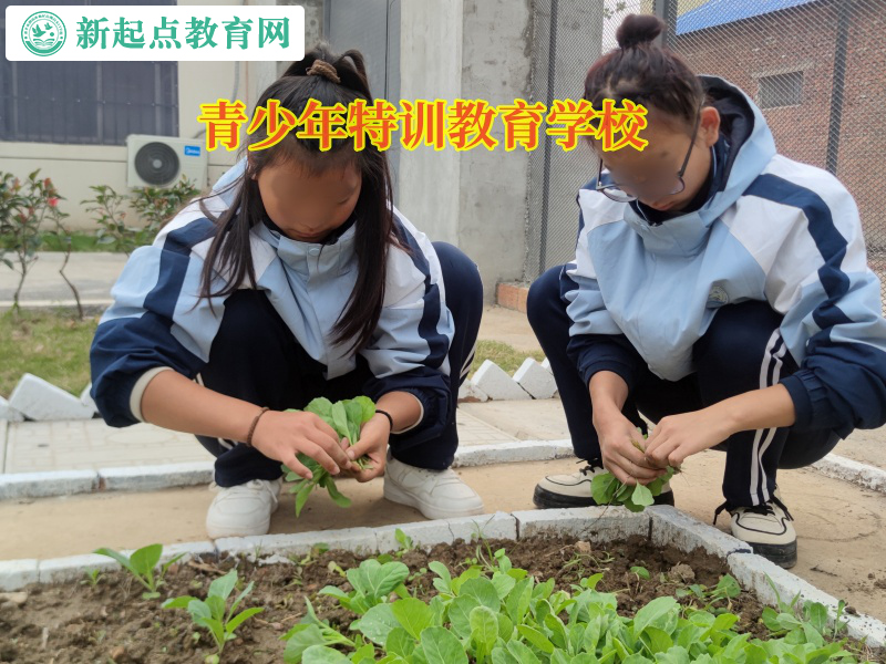 青少年特訓教育學校告訴孩子不要沉迷網絡游戲 青少年特訓教育學校告訴孩子不要沉迷網絡游戲