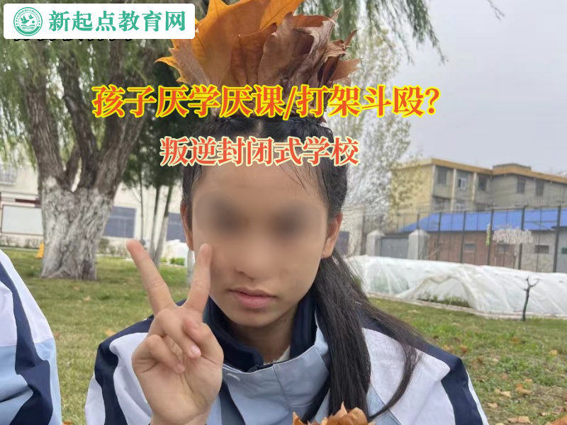 叛逆封閉式學校矯正孩子不愛寫作業這個惡習 叛逆封閉式學校矯正孩子不愛寫作業這個惡習