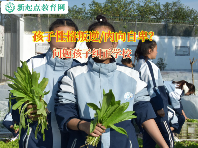 問題孩子糾正學(xué)校矯正孩子不愿溝通的問題 問題孩子糾正學(xué)校矯正孩子不愿溝通的問題