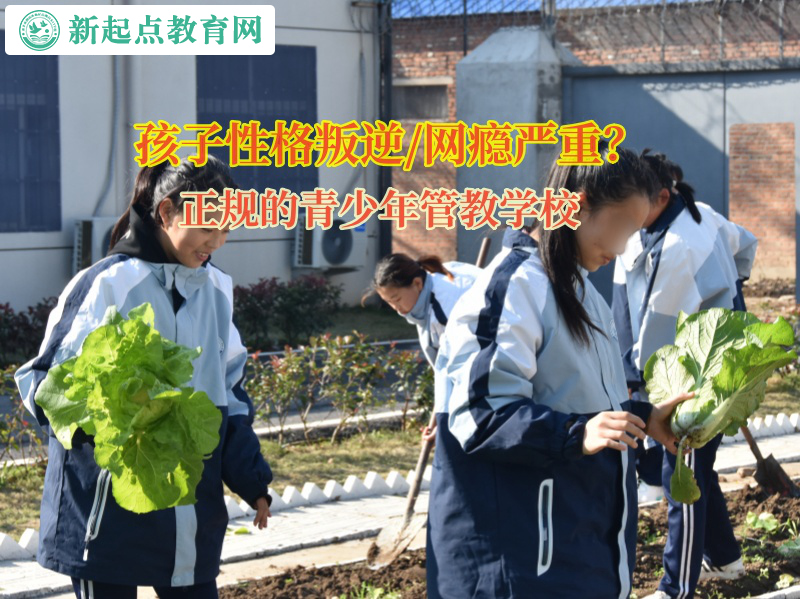 正規的青少年管教學校矯正孩子看網絡色情 正規的青少年管教學校矯正孩子看網絡色情