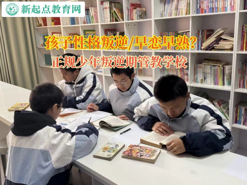 正規少年叛逆期管教學校矯正孩子網戀的行為 正規少年叛逆期管教學校矯正孩子網戀的行為