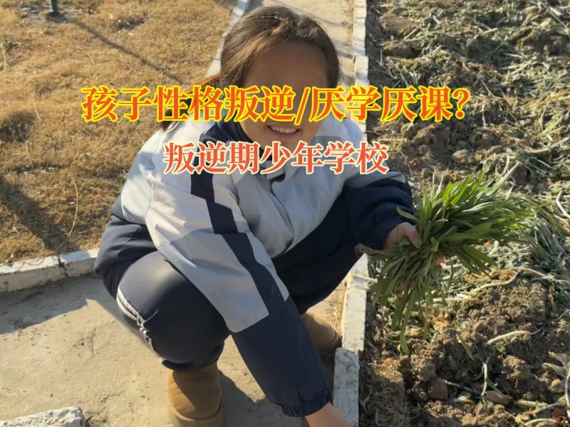 叛逆期少年學校引導孩子別再自私 叛逆期少年學校引導孩子別再自私