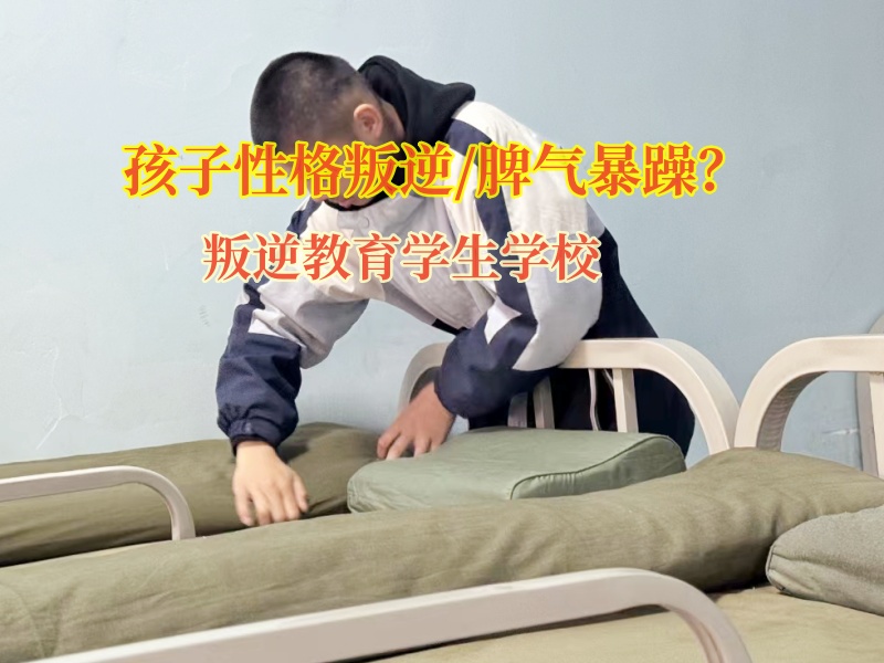 叛逆教育學生學校教育脾氣暴躁的孩子 叛逆教育學生學校教育脾氣暴躁的孩子