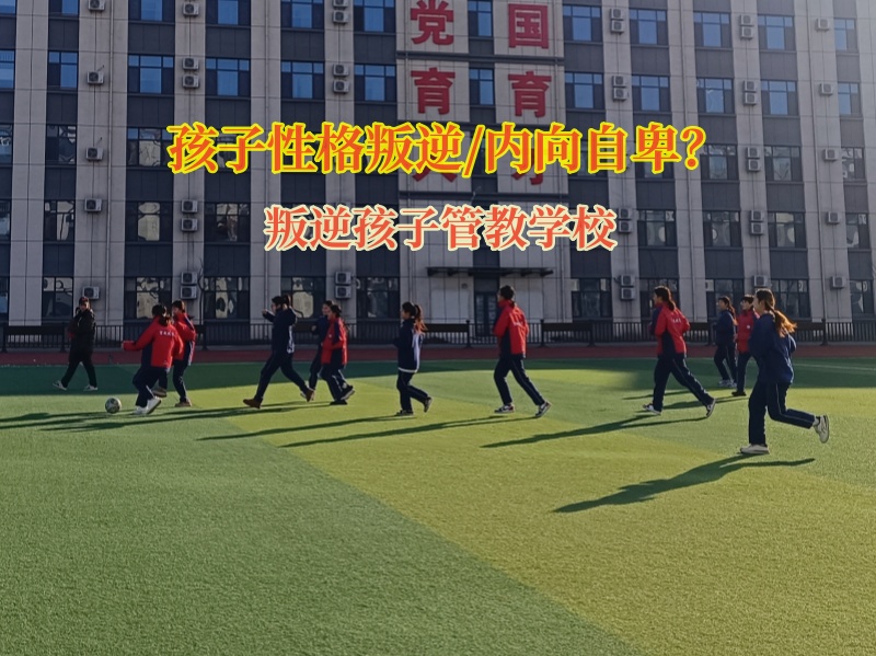 叛逆孩子管教學校教育有抑郁傾向的青少年 叛逆孩子管教學校教育有抑郁傾向的青少年