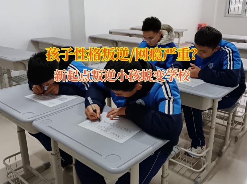 新起點叛逆小孩蛻變學校改變青少年自卑行為 新起點叛逆小孩蛻變學校改變青少年自卑行為