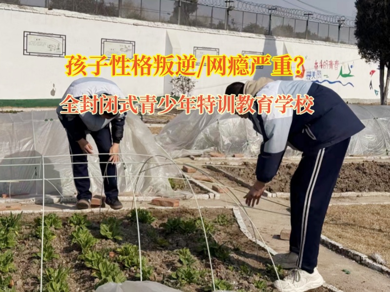 全封閉式青少年特訓(xùn)教育學(xué)校幫助孩子遠(yuǎn)離網(wǎng)絡(luò)色情 全封閉式青少年特訓(xùn)教育學(xué)校幫助孩子遠(yuǎn)離網(wǎng)絡(luò)色情