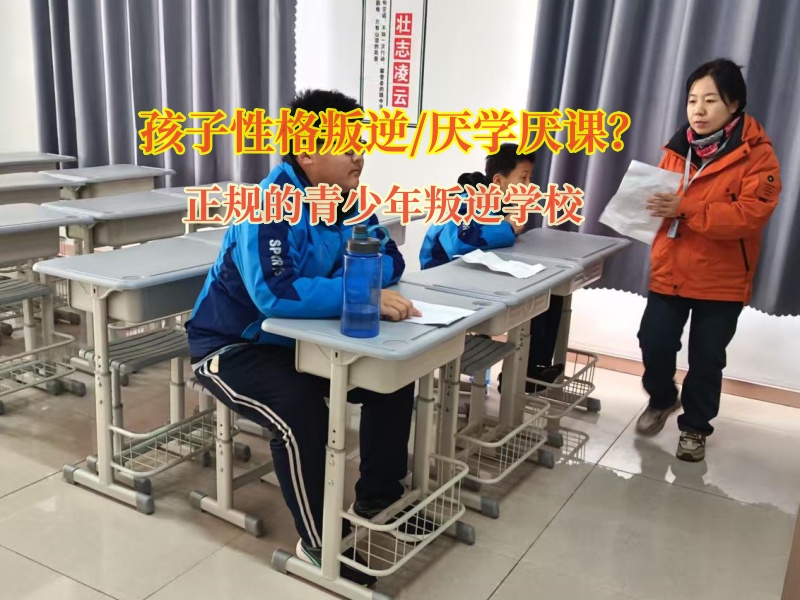 正規的青少年叛逆學校幫助孩子重拾學習的樂趣 正規的青少年叛逆學校幫助孩子重拾學習的樂趣