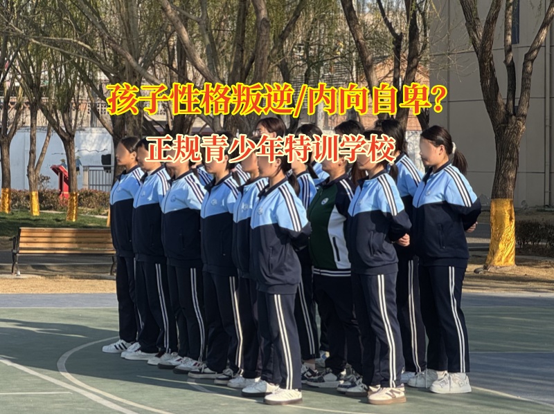 正規青少年特訓學校糾正孩子自卑情緒 正規青少年特訓學校糾正孩子自卑情緒