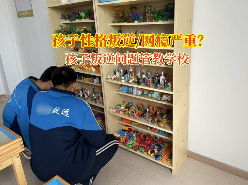 叛逆孩子封閉式特訓(xùn)營(yíng)破解青春期自私難題