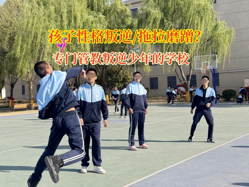 專門管教叛逆少年的學校破解孩子拖延密碼 專門管教叛逆少年的學校破解孩子拖延密碼