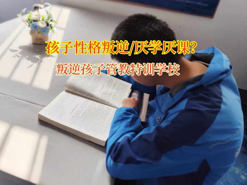 少年管教軍事化學校勸孩子遠離賭博陰霾 少年管教軍事化學校勸孩子遠離賭博陰霾