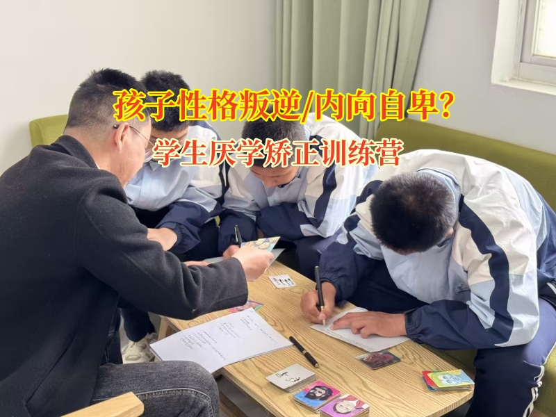 學生厭學矯正訓練營助力內向孩子綻放光芒