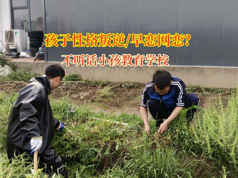 不聽話小孩教育學校教育初中生遠離網戀“陷阱” 不聽話小孩教育學校教育初中生遠離網戀“陷阱”