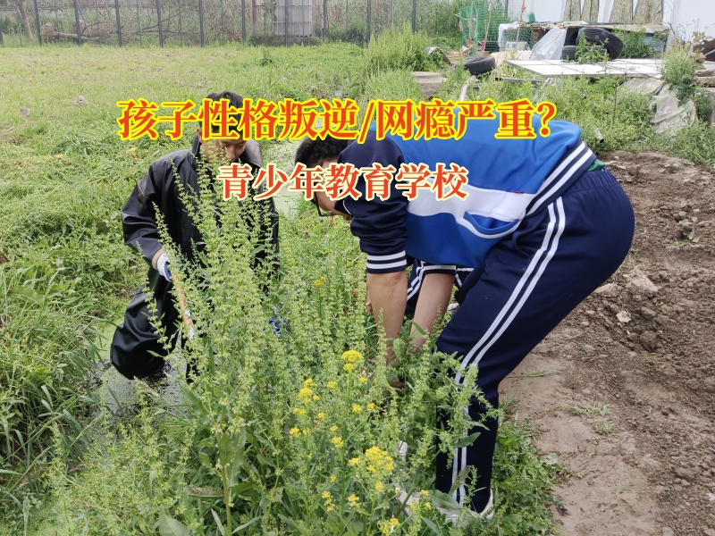 青少年教育學校共筑青少年健康上網防線 青少年教育學校共筑青少年健康上網防線