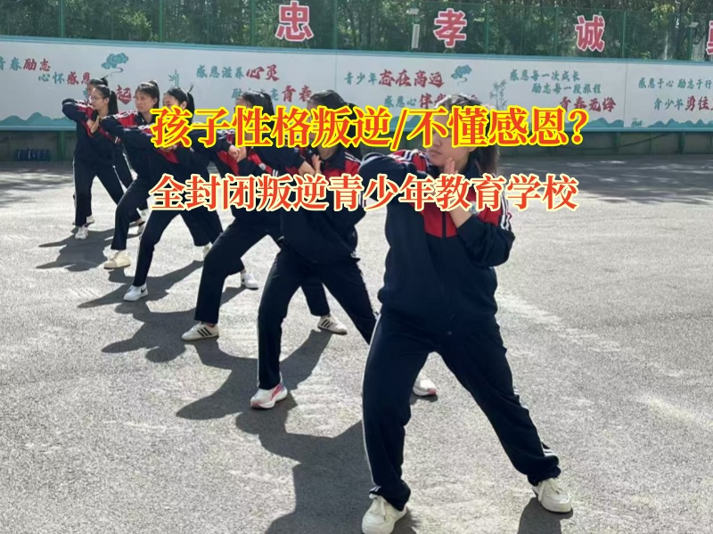 全封閉叛逆青少年教育學校為孩子種下感恩的種子 全封閉叛逆青少年教育學校為孩子種下感恩的種子