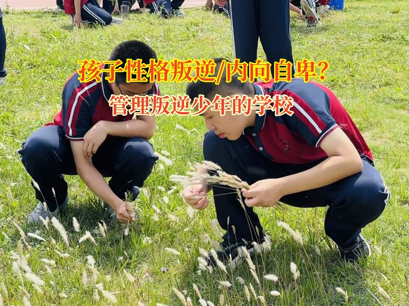 管理叛逆少年的學校幫助孩子從自卑到開朗