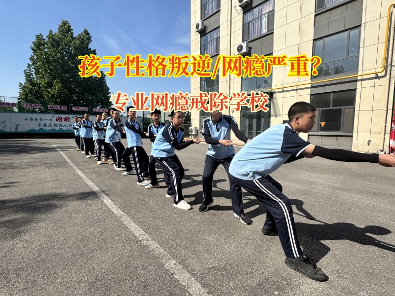 專業網癮戒除學校破除網癮“枷鎖” 專業網癮戒除學校破除網癮“枷鎖”