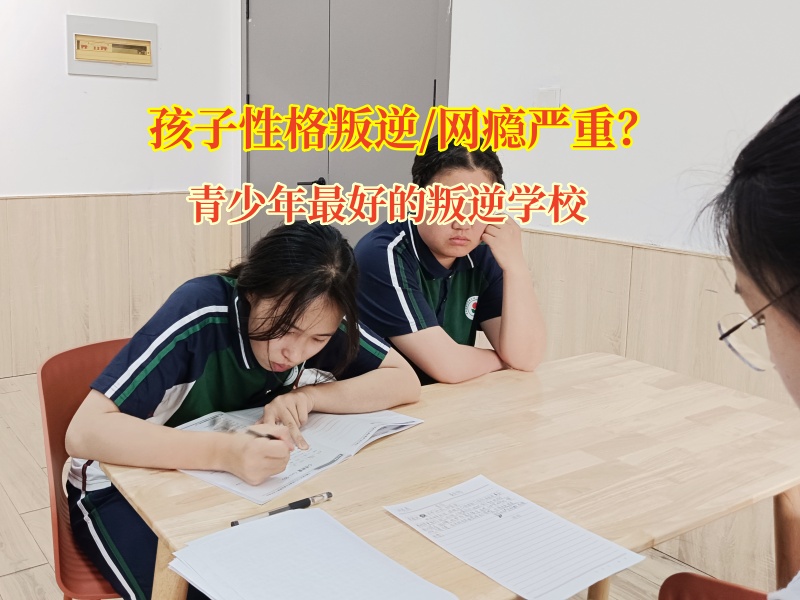 青少年最好的叛逆學校應對青少年手機成癮 青少年最好的叛逆學校應對青少年手機成癮