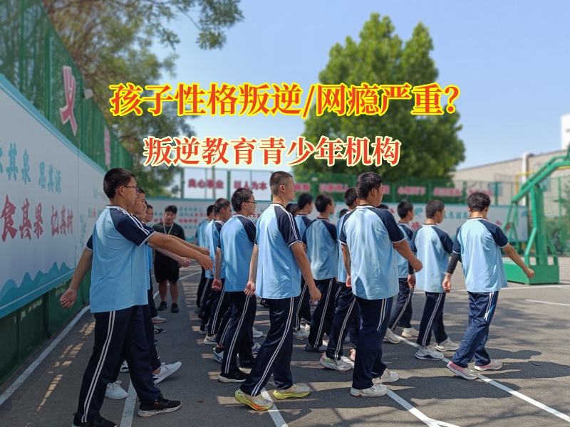 叛逆教育青少年機構為孩子成長點亮明燈 叛逆教育青少年機構為孩子成長點亮明燈