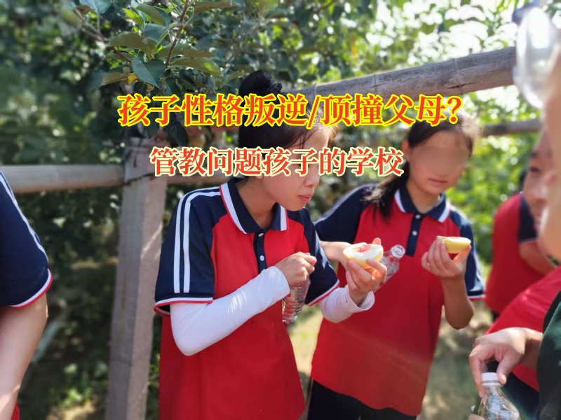叛逆期孩子頂嘴?管教問題孩子的學(xué)校有妙招 叛逆期孩子頂嘴?管教問題孩子的學(xué)校有妙招