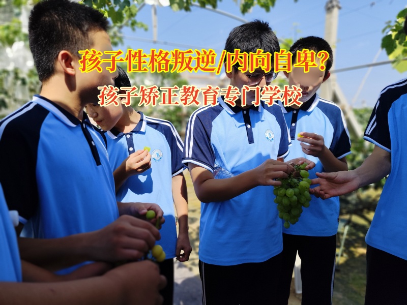 孩子矯正教育專門學校矯正怪異之行，鋪就成長坦途