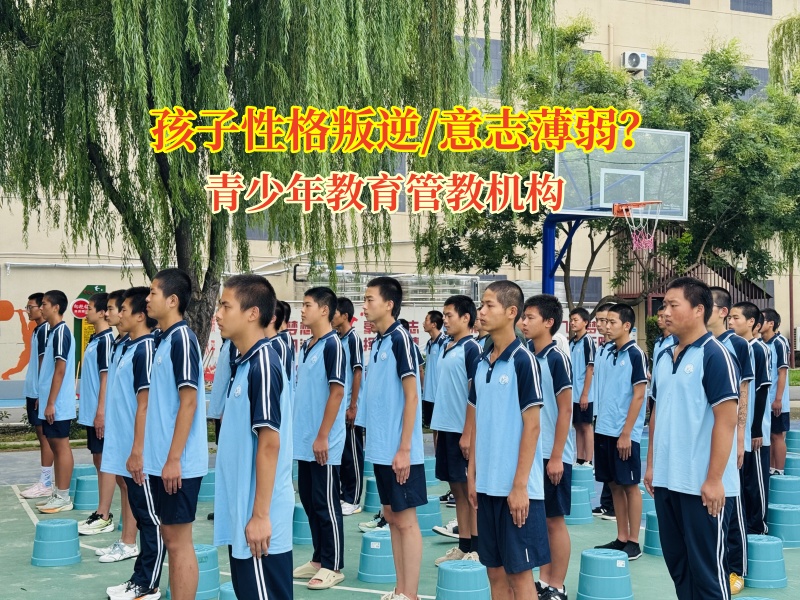 青少年教育管教機構幫孩子告別“玻璃心” 青少年教育管教機構幫孩子告別“玻璃心”
