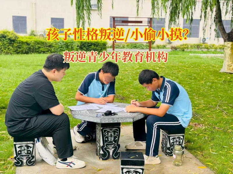 叛逆青少年教育機構點亮回歸正途的燈塔