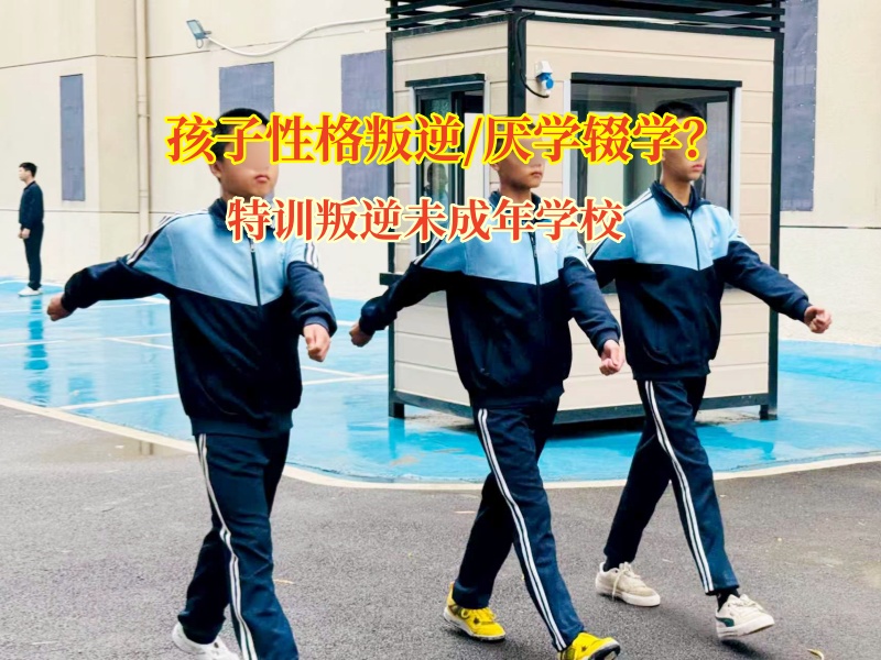 特訓叛逆未成年學校改造輟學的孩子 特訓叛逆未成年學校改造輟學的孩子