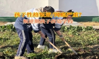 叛逆期孩子改造學校磨煉孩子意志的建議
