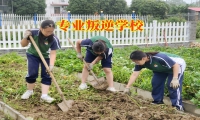專業叛逆學校幫助矯正孩子離家出走